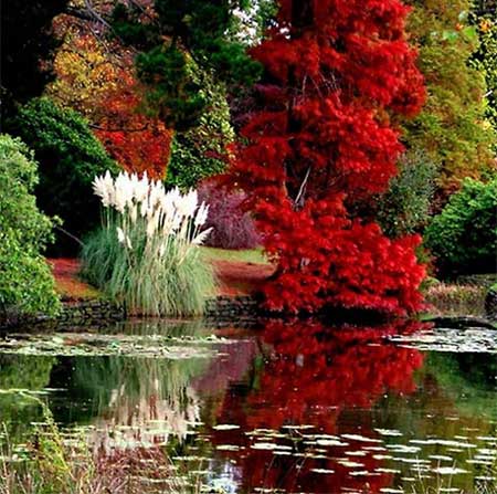 دانلود آهنگ فریب علی یگانه